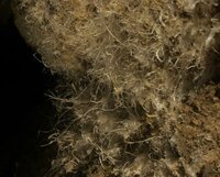 Grotte des Chaillets (25)